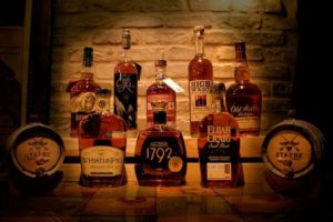 Media - Warren Delray